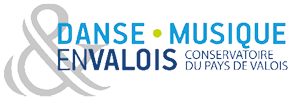 dmvalois-logo